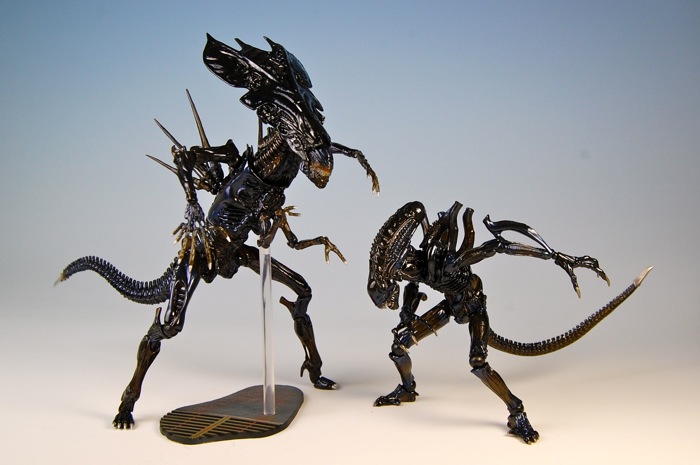 �{���̐����1