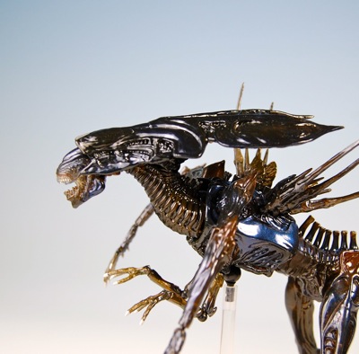 �{���̐����7