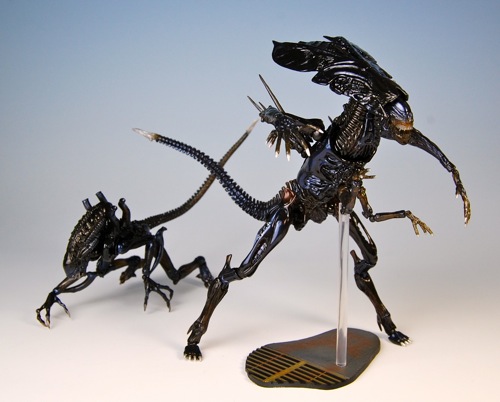 �{���̐����8